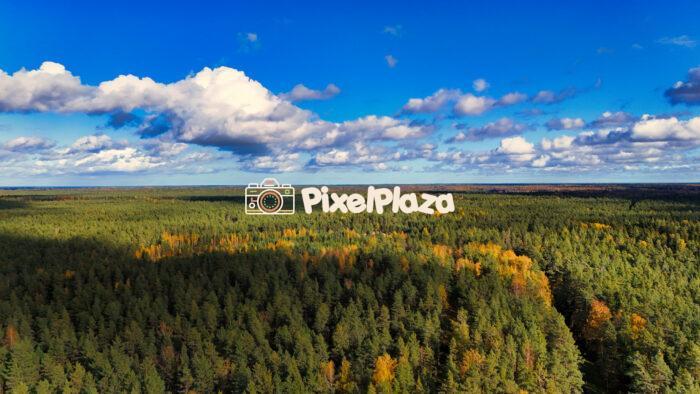 Nature’s Beauty: Summer Green Forest and White Clouds Nature’s Beauty: Summer Green Forest and White Clouds