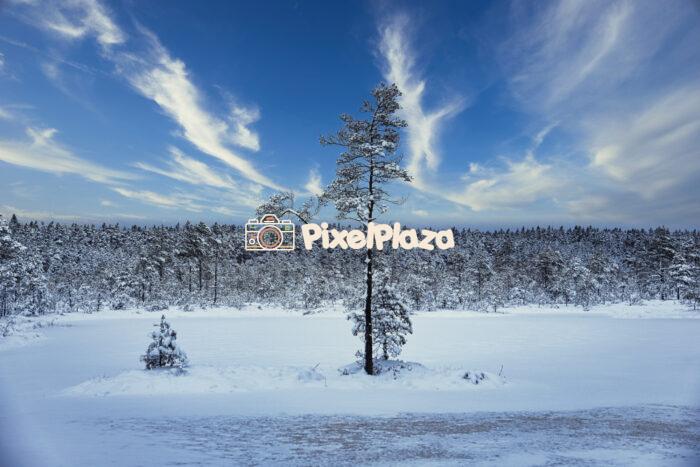 Frozen Serenity Estonian Swamp in Winter's Embrace
