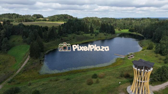 Summer View of the Forest and Lake - 4K Drone Video