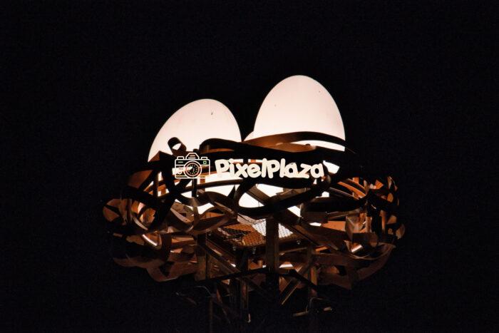 Illuminated Artistic Nest with Glowing Egg Sculptures at Night