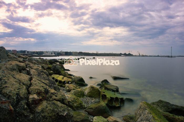 Forgotten Coast - Nature Reclaiming the Shoreline