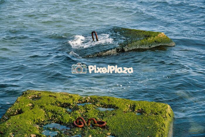 Moss-Covered Pier Remains in the Baltic Sea