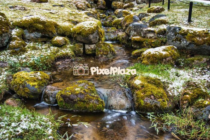 Mossy Rocks and Gentle Stream in Early Spring