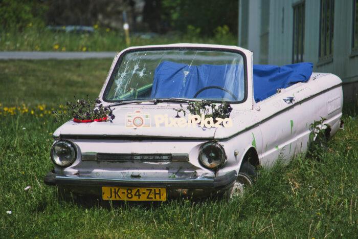 Retro Abandoned Car Repurposed as a Planter in Overgrown Grass