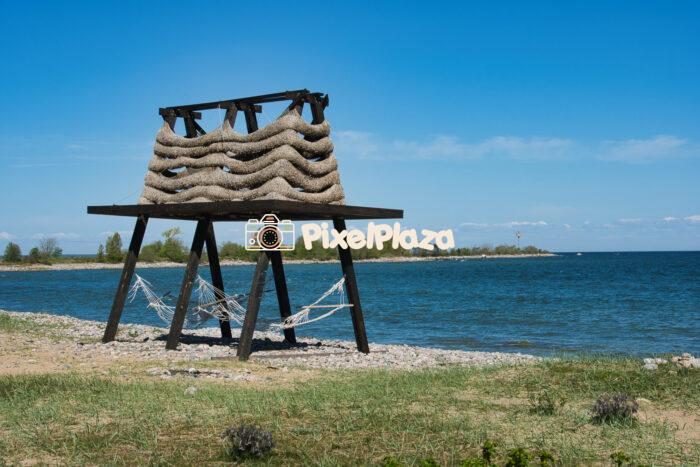 Unique Coastal Hammock Structure on a Baltic Sea Shore