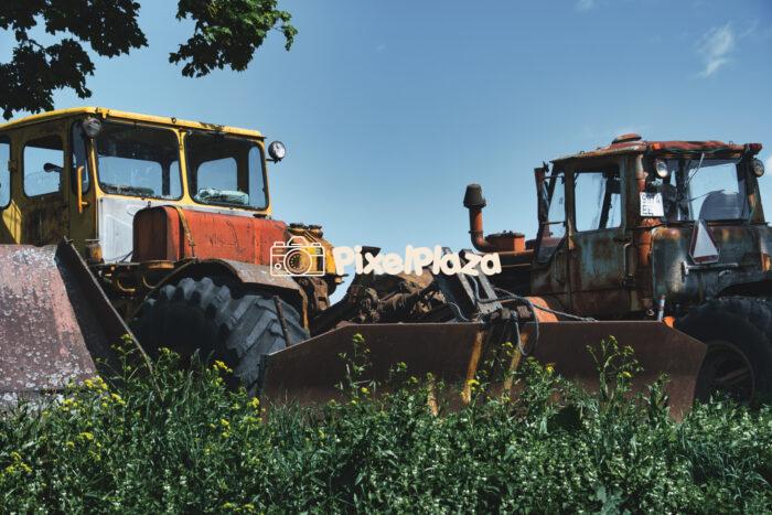 Abandoned Soviet Kirovets K-700 Tractors in Overgrown Field - Vintage Farm Machinery2 Abandoned Soviet Kirovets K-700 Tractors in Overgrown Field - Vintage Farm Machinery