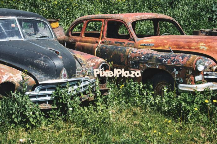 Abandoned Vintage Soviet Cars Rusting in Overgrown Field Abandoned Vintage Soviet Cars Rusting in Overgrown Field