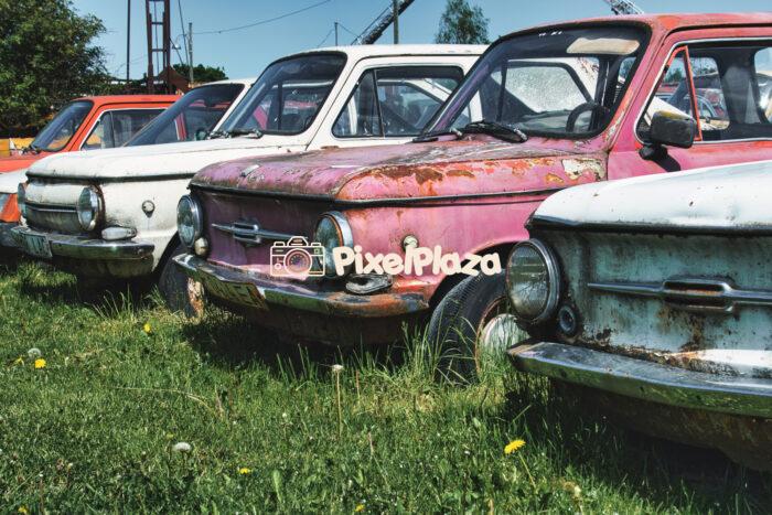 Row of Abandoned Soviet ZAZ-968 Cars - Vintage Rusty Vehicles in Estonian Field