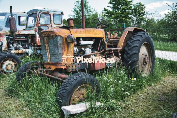 Rusty Vintage Tractors Abandoned in Overgrown Field