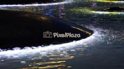 Bubbling Water and White Lights on a Modern Dome Feature