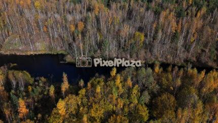 Autumn Forest River from Above - Scenic Drone View of Estonia