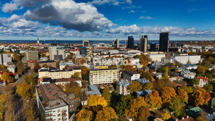Vibrant Autumn Colors Over Tallinn City Skyline Estonia - Aerial Drone View