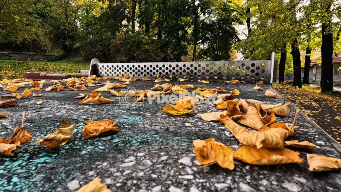 Autumn Leaves Falling on Outdoor Ping-Pong Table in City Park