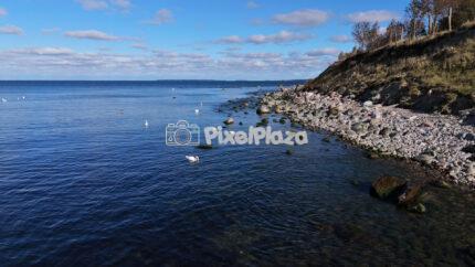 Drone View of Rocky Baltic Coast with Swans in Paljassaare, Tallinn - 4K Drone Video