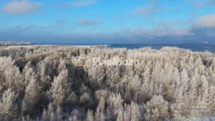 Frozen Coastal Forest in Paljassaare, Tallinn - Winter 4K Drone Video