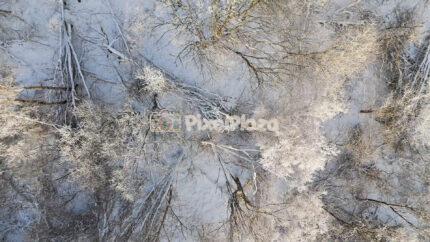 Storm-Damaged Winter Forest in Paljassaare, Tallinn - 4K Drone Video