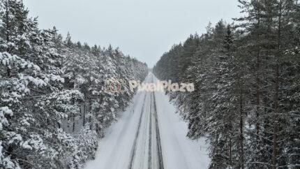 Winter Forest Road in Estonia - 4K Drone Video