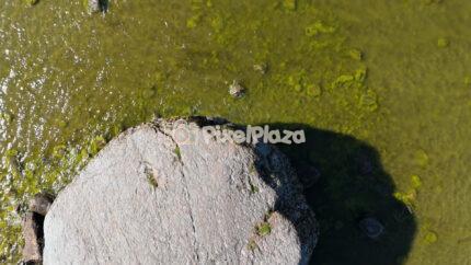 Ehalkivi Giant Coastal Boulder in Baltic Sea Aerial View Estonia