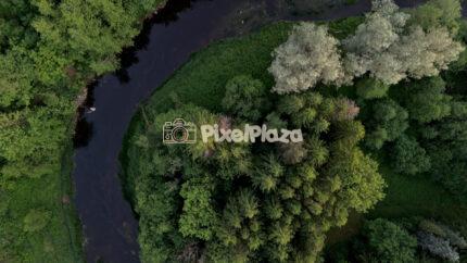 Aerial View of Forest Island and Winding River in Summer Nature