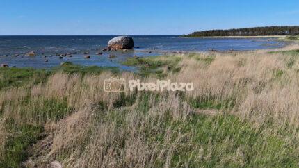 Ehalkivi Boulder on Estonia Baltic Coast Scenic Drone Landscape