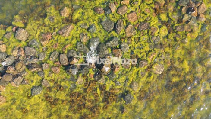 Aerial Top Down View of Shallow Sea Rocks and Algae 4K Drone Video