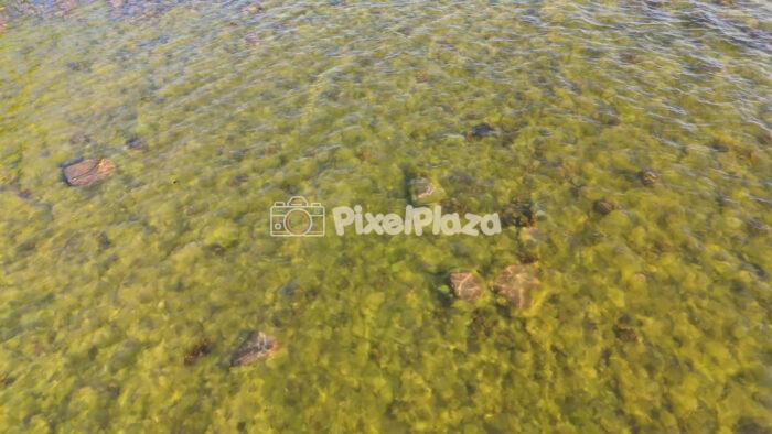 Clear Baltic Sea water and stony seabed in Estonia 4K Drone Video