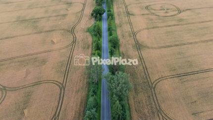 Aerial Top Down Video Flying Over Road Through Golden Fields