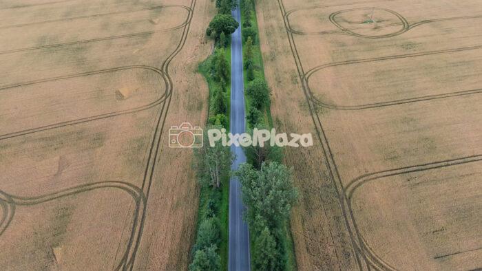Aerial Top Down Video Flying Over Road Through Golden Fields